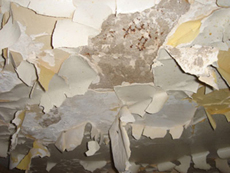 Lead Paint Testing and Remediation Photos